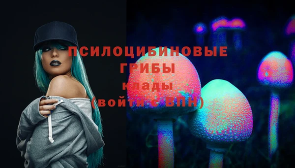 герыч Верхний Тагил