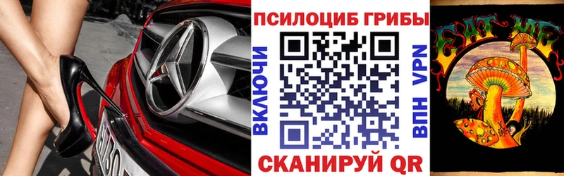 Купить  Салават  Галлюциногенные грибы прущие грибы 